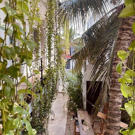 普拉亚卡门 Anana Coliving酒店 外观 照片