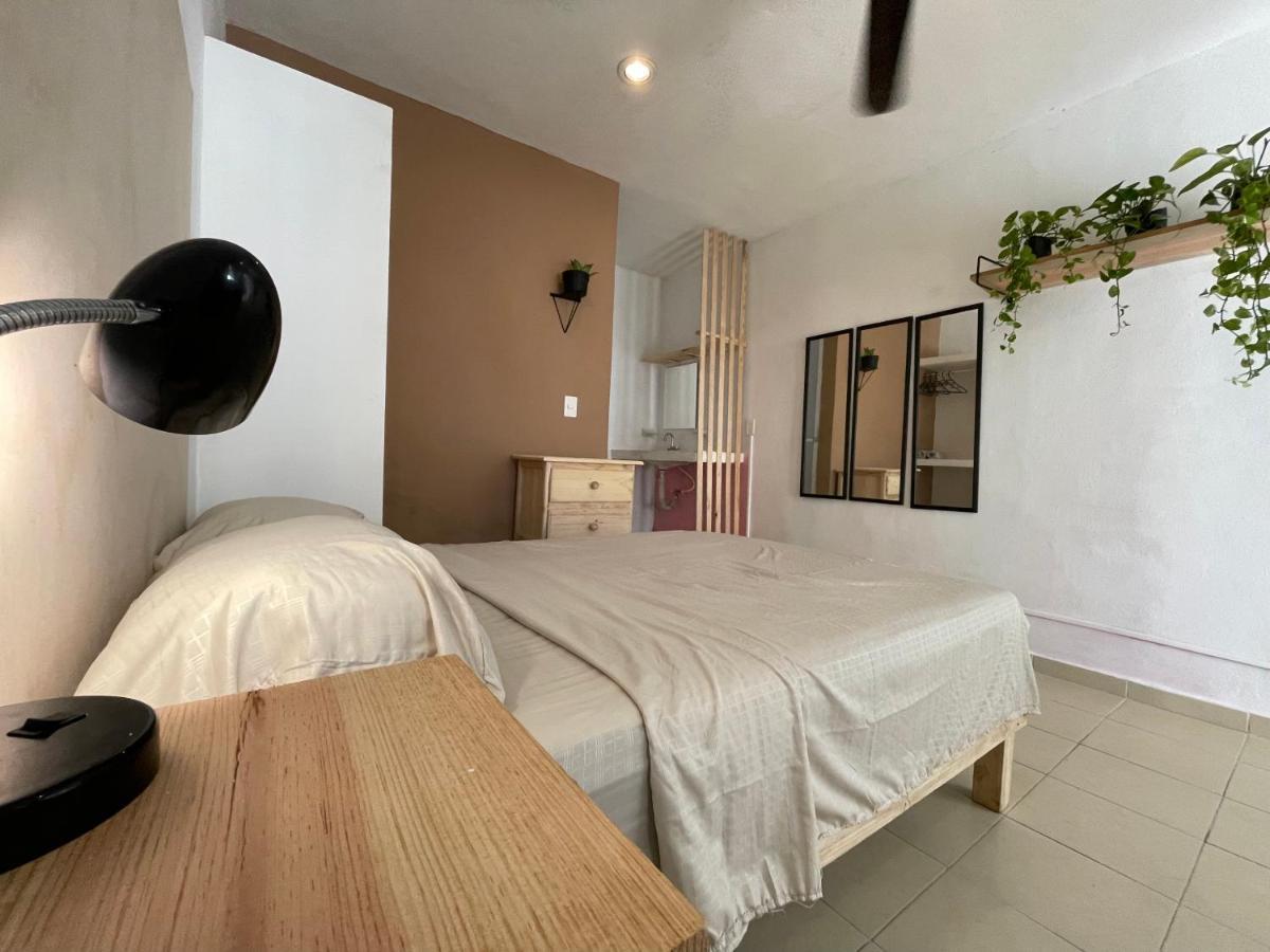 普拉亚卡门 Anana Coliving酒店 外观 照片