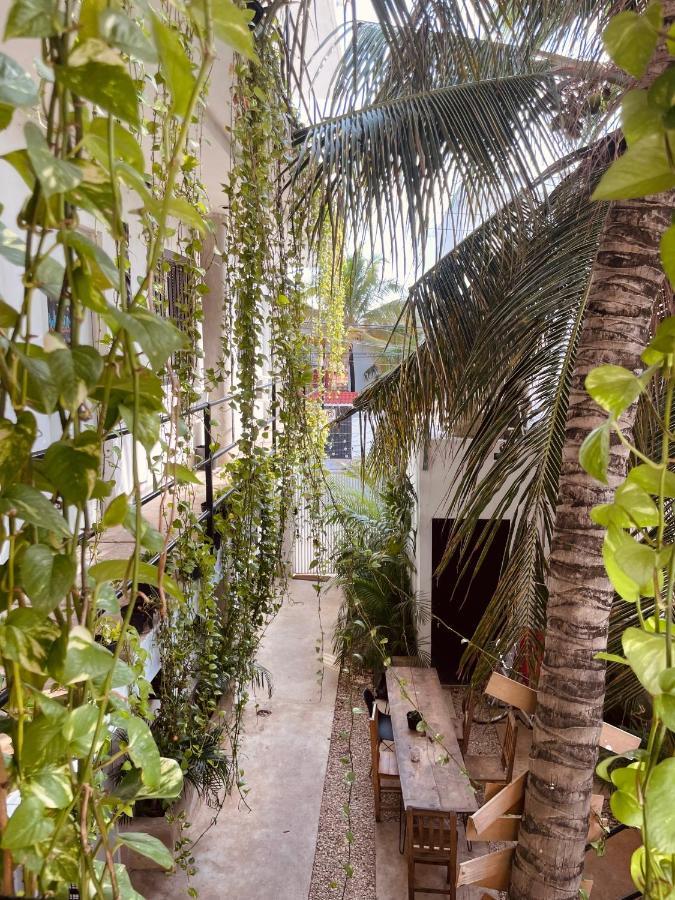普拉亚卡门 Anana Coliving酒店 外观 照片