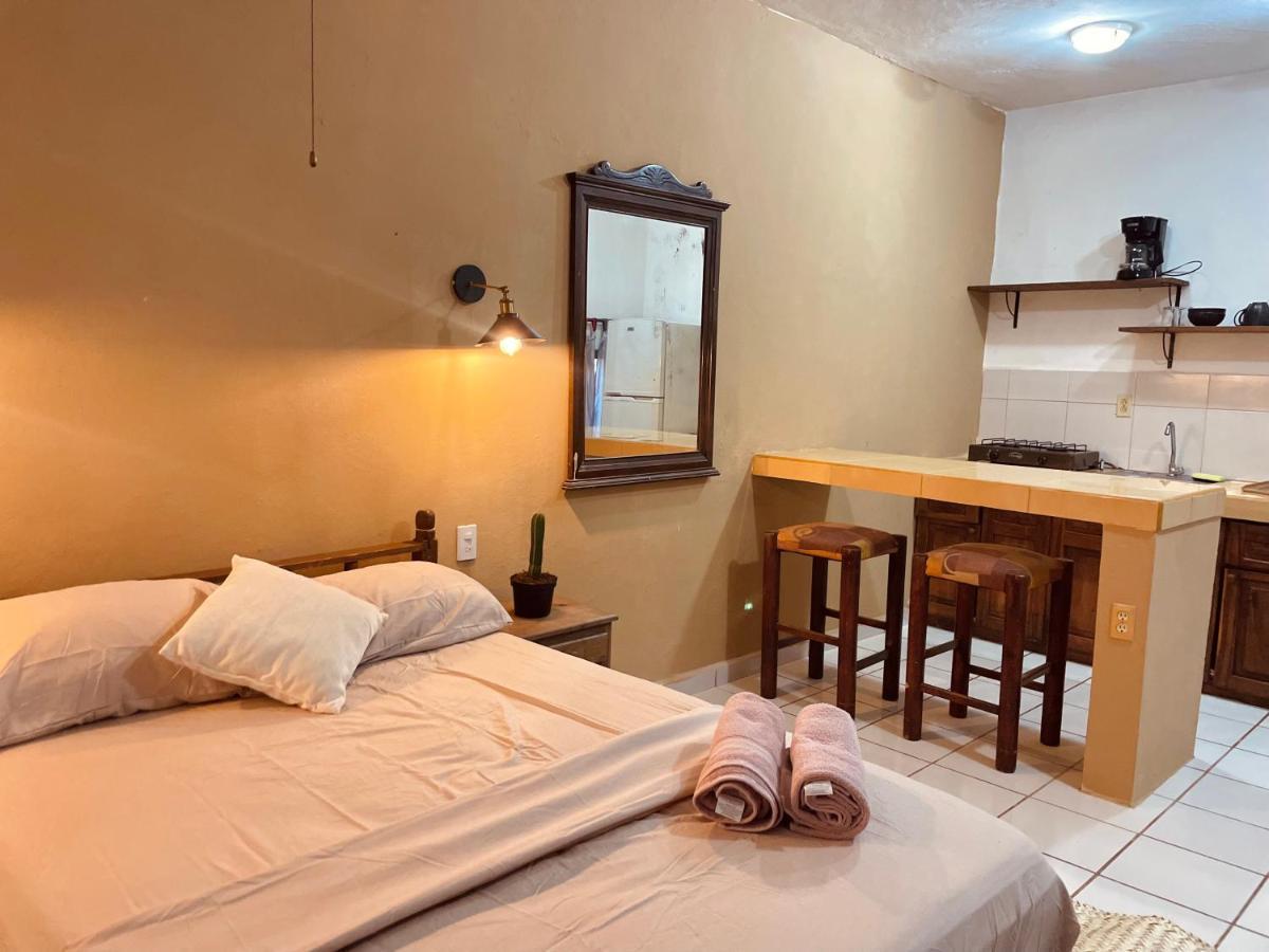 普拉亚卡门 Anana Coliving酒店 外观 照片