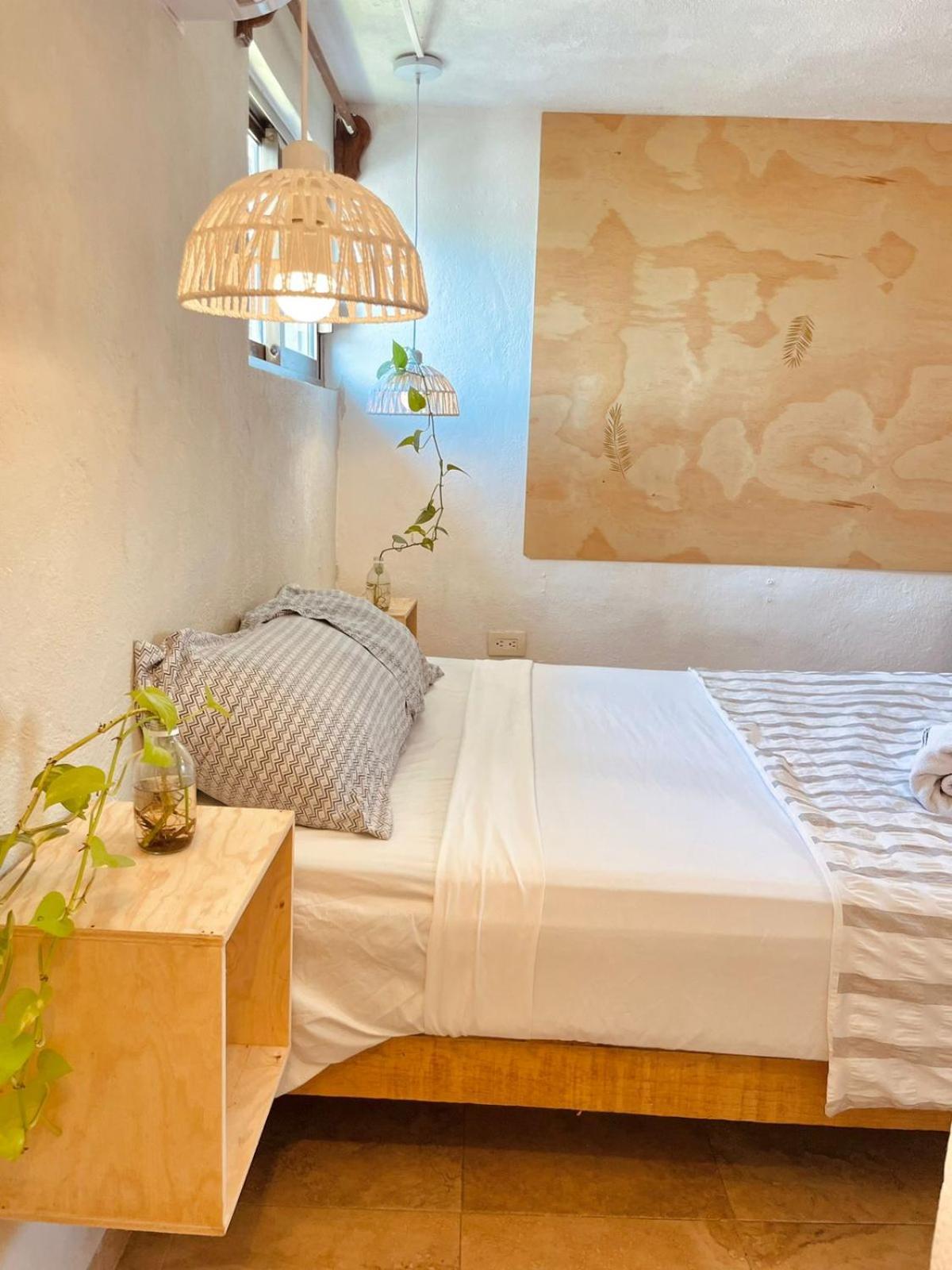 普拉亚卡门 Anana Coliving酒店 外观 照片