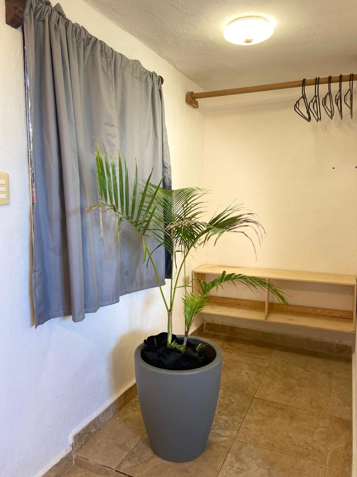 普拉亚卡门 Anana Coliving酒店 外观 照片