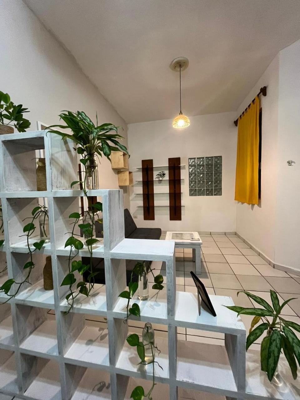 普拉亚卡门 Anana Coliving酒店 外观 照片